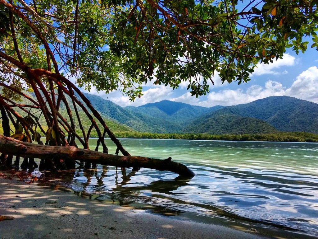 la Cienaga